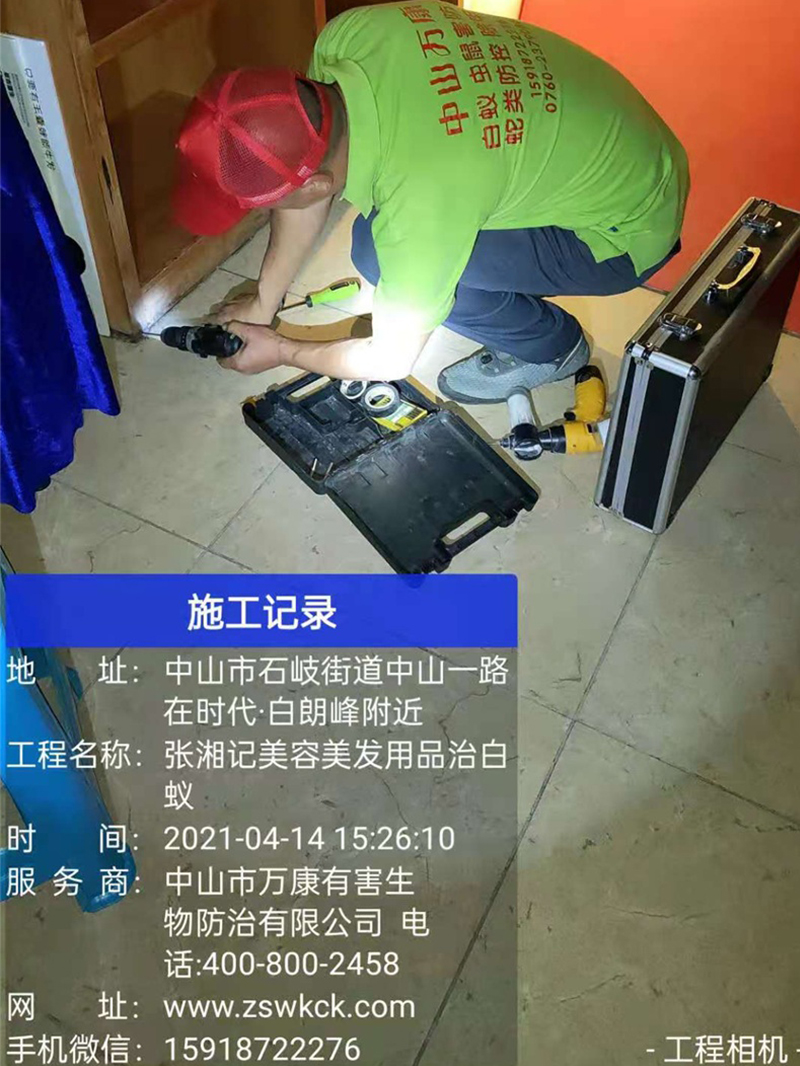 白蟻防治